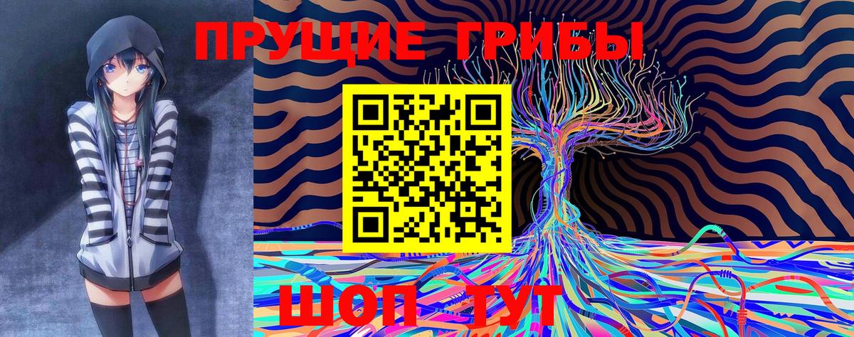 наркошоп  Вход с VPN  Воронеж  Псилоцибиновые грибы Psilocybine cubensis 
